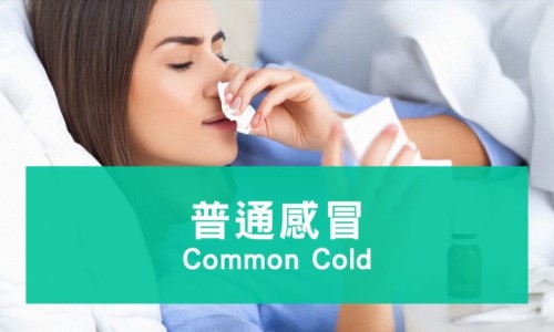 复方玄驹胶囊备孕期间男性能吃吗-【复方玄驹胶囊吃多久性功能恢复】复方玄驹胶囊吃多久才有效果 - 复方玄驹胶囊药效快吗网
