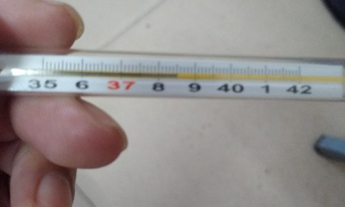 复方玄驹胶囊吃多久才有效果-【复方玄驹胶囊吃多久性功能恢复】复方玄驹胶囊吃多久才有效果 - 复方玄驹胶囊药效快吗网